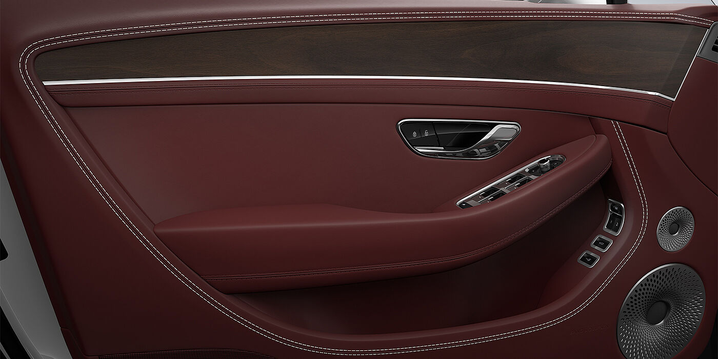 Thomas Exclusive Cars GmbH Bentley Continental GT coupe door detail in Cricket ball hide